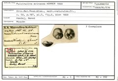 Karteikarte zum Syntyp von Pulvinulina erinacea Karrer, 1868
